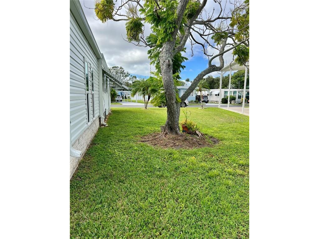 10399 67th Avenue #86 Seminole FL 33772 - LONG BAYOU TB8432574 image28