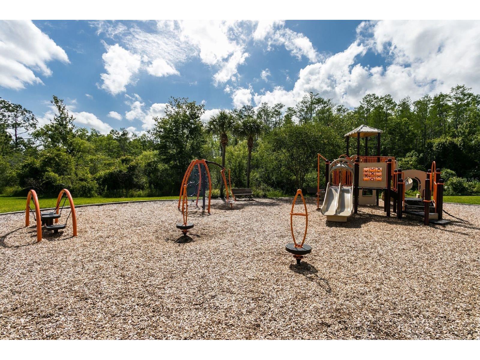 10399 Winding Marsh Trail #1A Orlando FL 32832 O6401271 image20