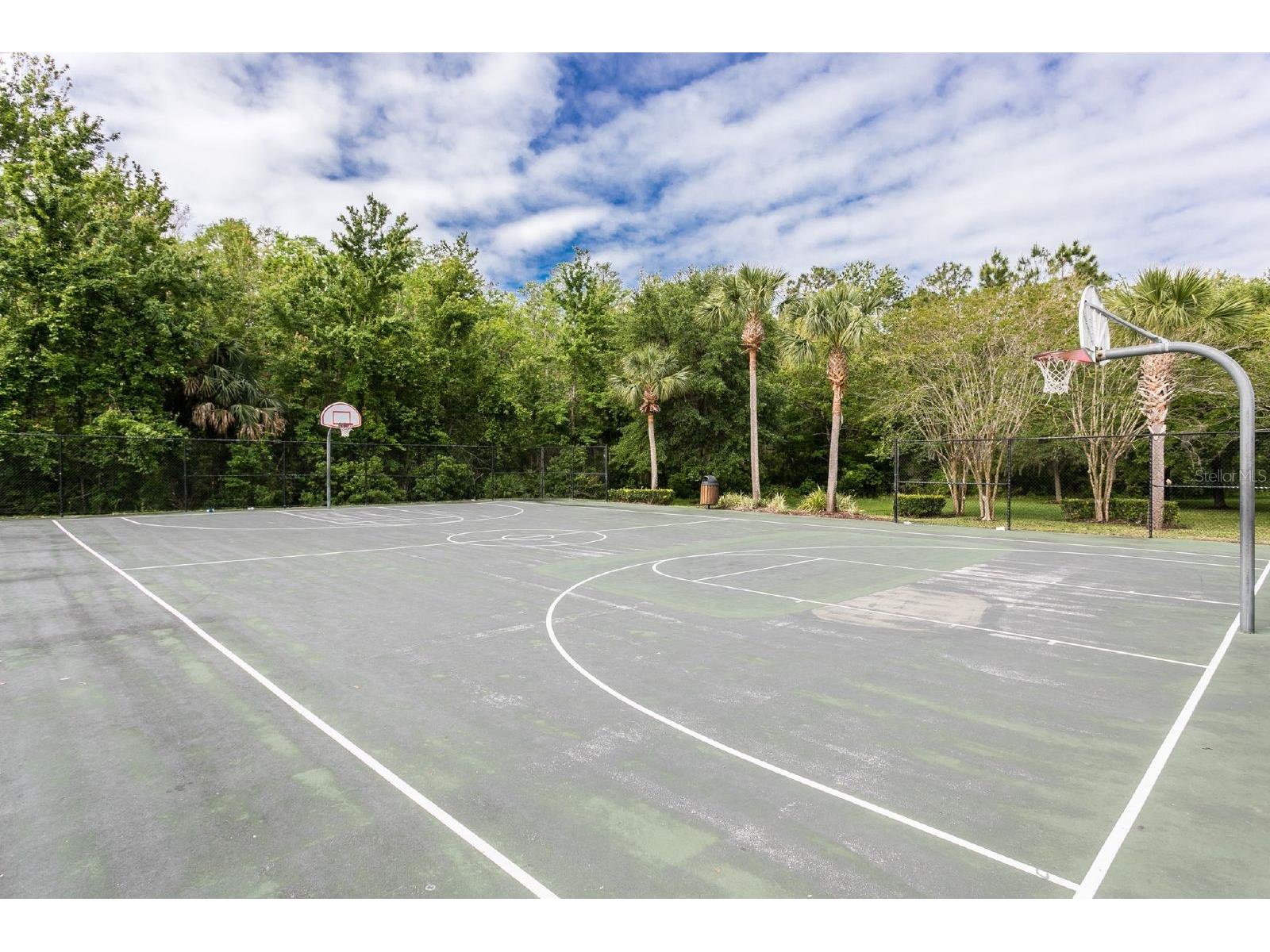 10399 Winding Marsh Trail #1A Orlando FL 32832 O6401271 image23