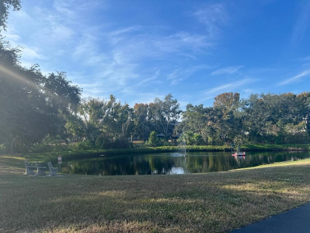 104 1st Street Clearwater FL 33765 TB8461808 image19