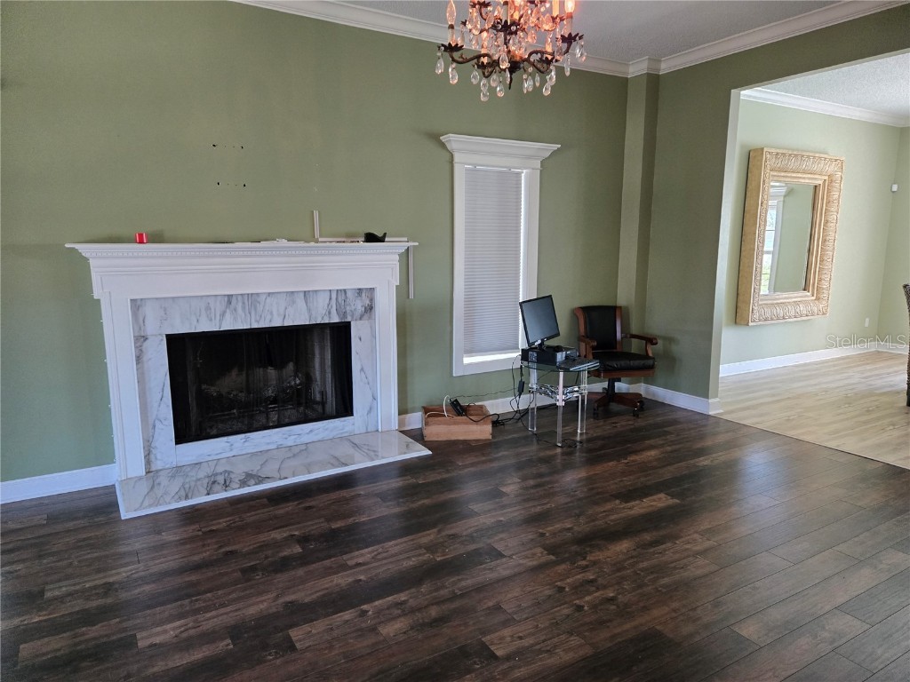 104 5th Street E Tierra Verde FL 33715 - CANAL FRONT TB8412887 image10