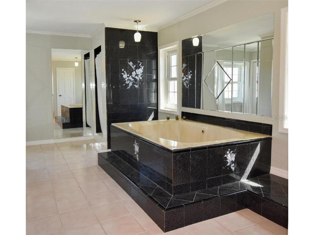 104 5th Street E Tierra Verde FL 33715 - CANAL FRONT TB8412887 image19