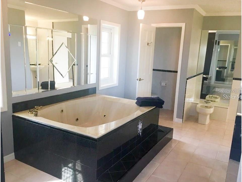 104 5th Street E Tierra Verde FL 33715 - CANAL FRONT TB8412887 image20