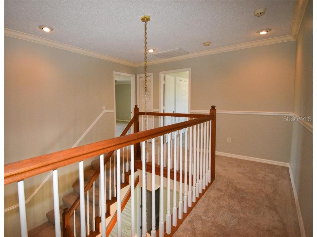 104 5th Street E Tierra Verde FL 33715 - CANAL FRONT TB8412887 image25