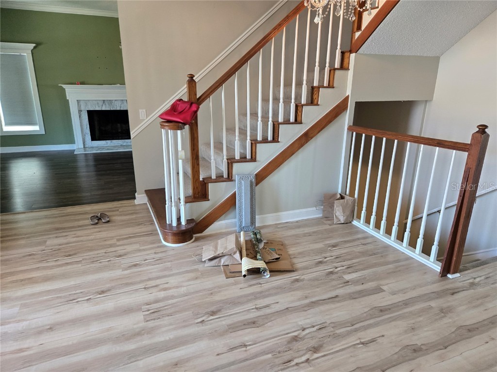 104 5th Street E Tierra Verde FL 33715 - CANAL FRONT TB8412887 image26