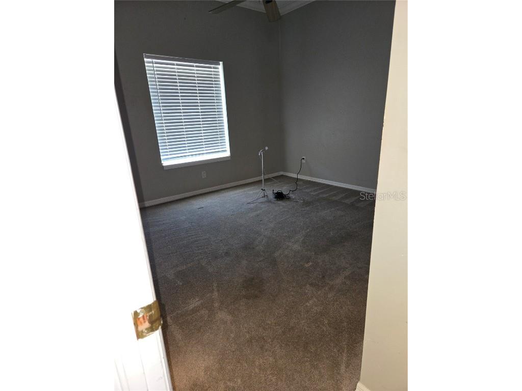 104 5th Street E Tierra Verde FL 33715 - CANAL FRONT TB8412887 image27