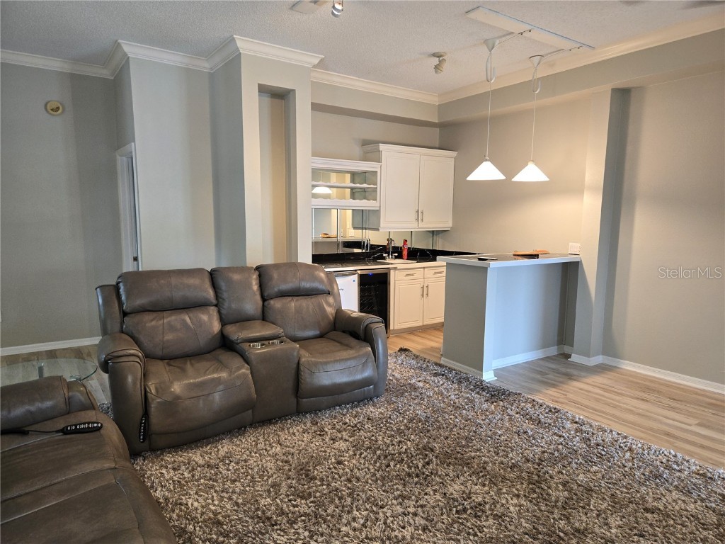 104 5th Street E Tierra Verde FL 33715 - CANAL FRONT TB8412887 image35