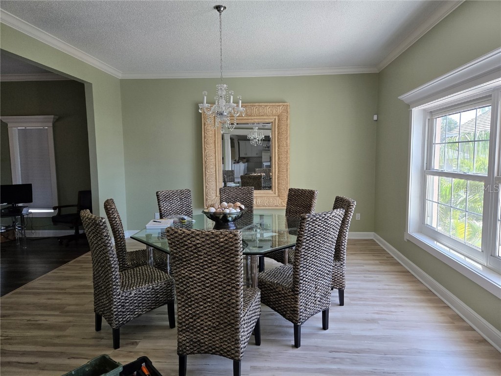 104 5th Street E Tierra Verde FL 33715 - CANAL FRONT TB8412887 image8