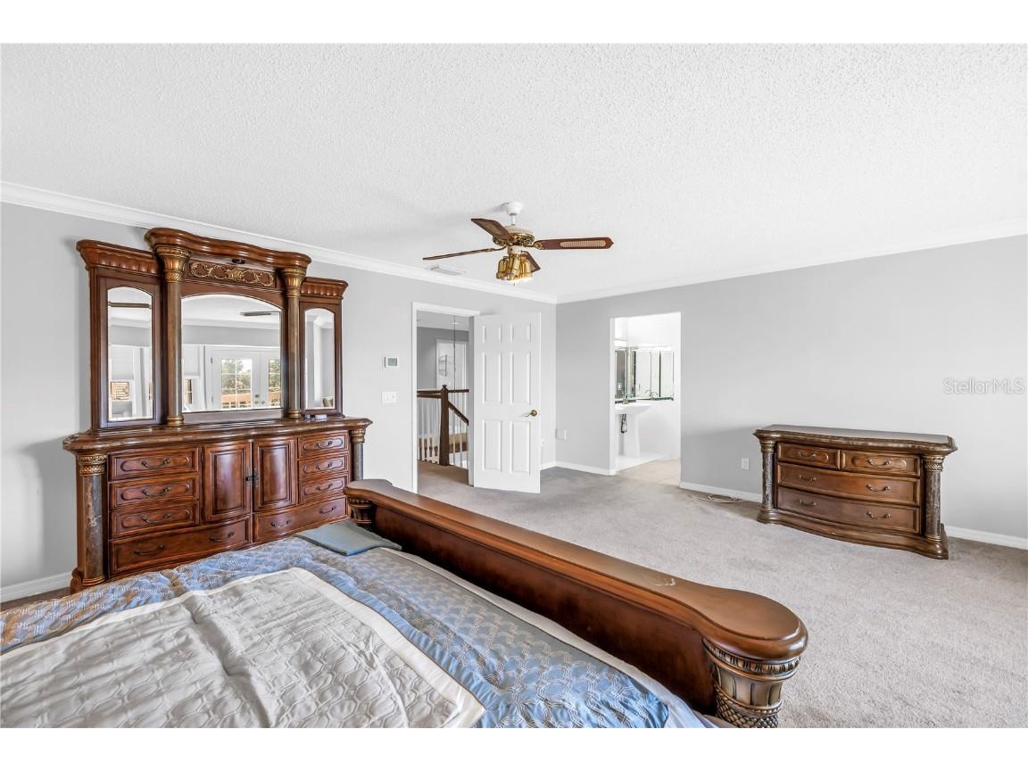 104 5th Street E Tierra Verde FL 33715 TB8437290 image27