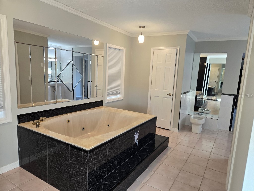 104 5th Street E Tierra Verde FL 33715 TB8437290 image30