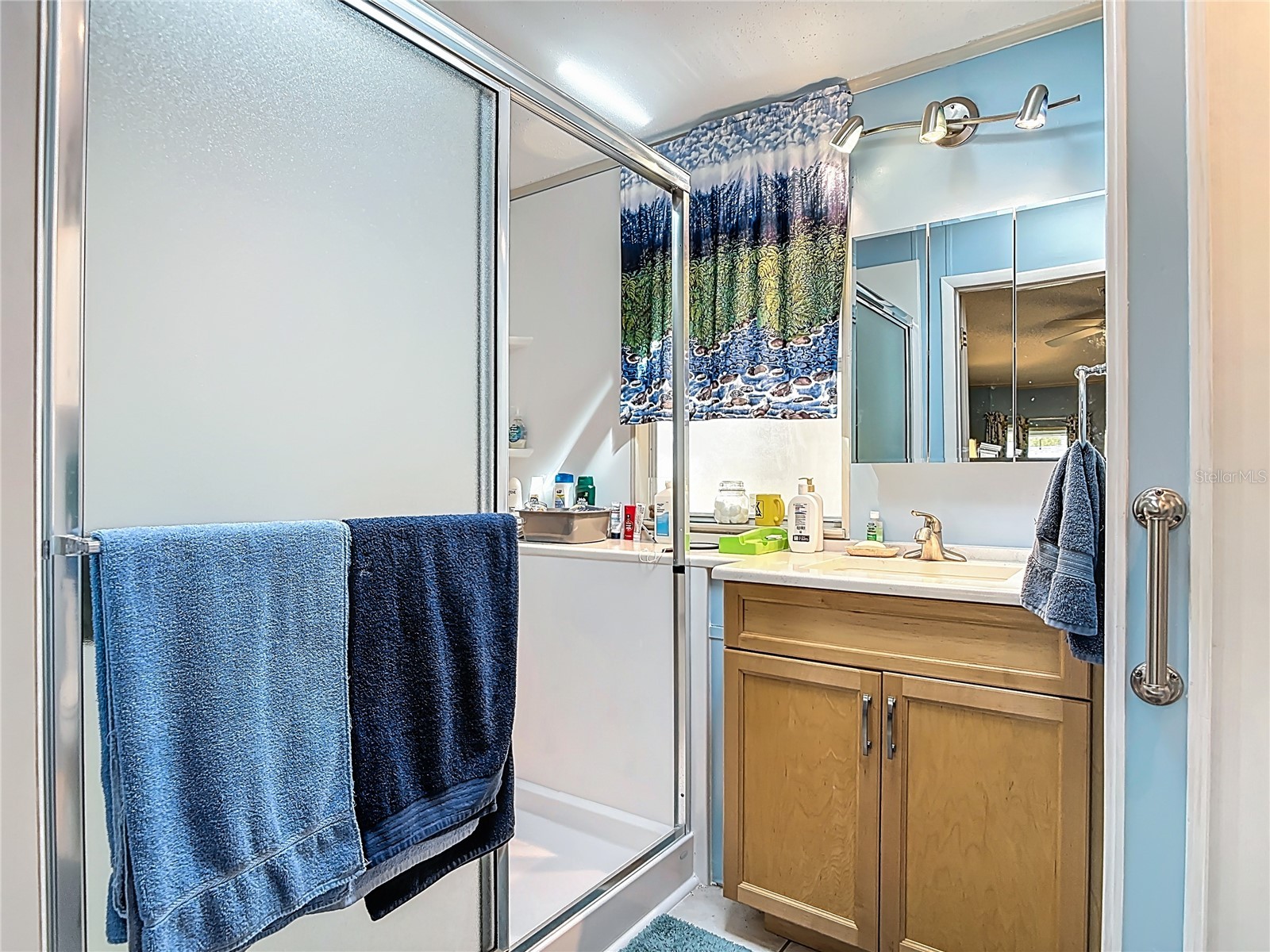 104 Admiral Lane Debary FL 32713 - ST JOHN'S RIVER V4947737 image21