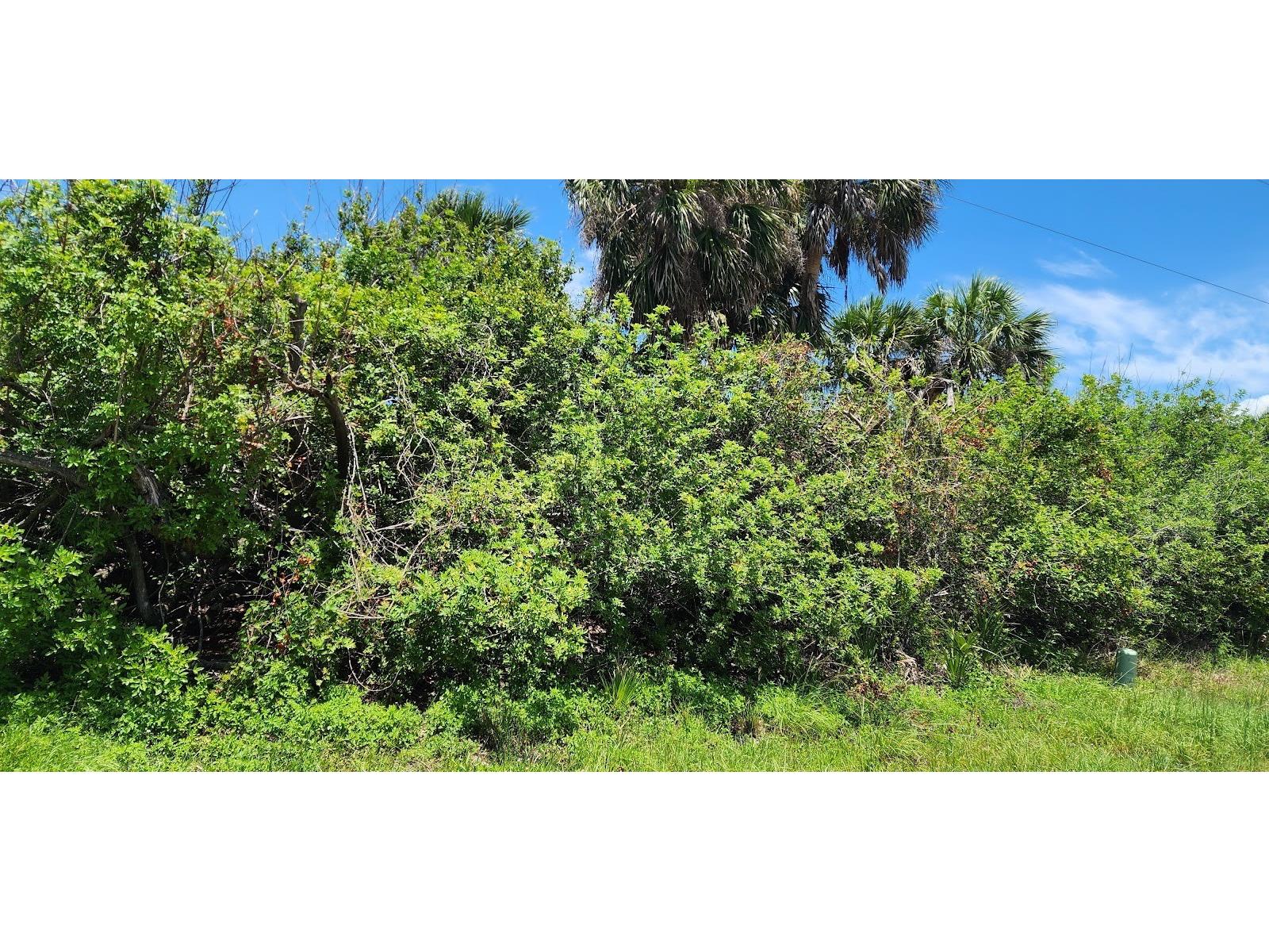 104 Bebb Court Rotonda West FL 33947 D6143970 image2