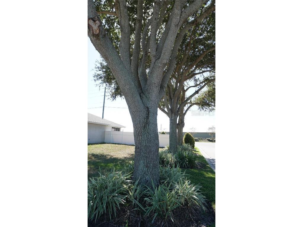 104 Bentley Oaks Boulevard Auburndale FL 33823 S5138271 image22