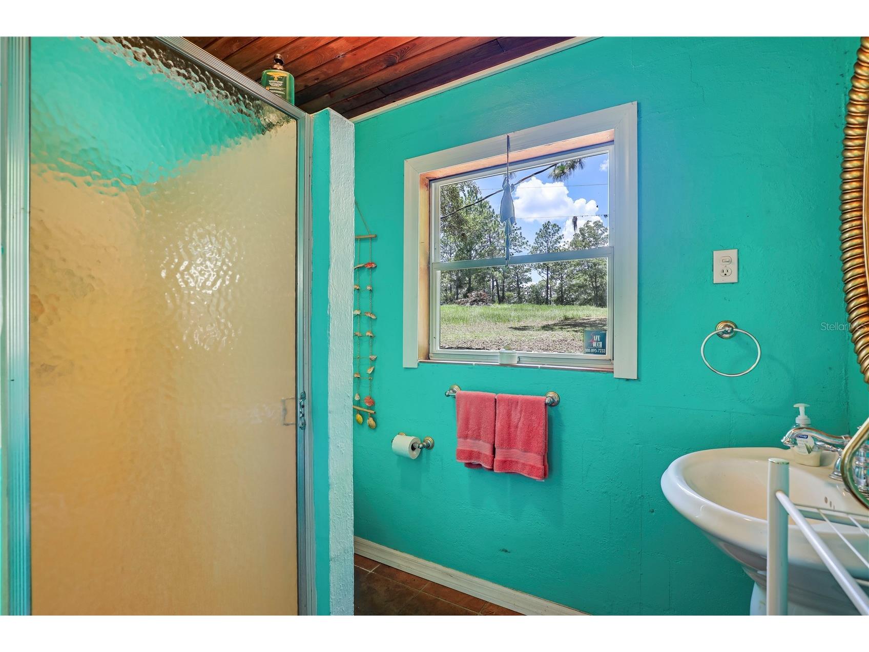 104 Carter Whittaker Lane Pomona Park FL 32181 FC310665 image26