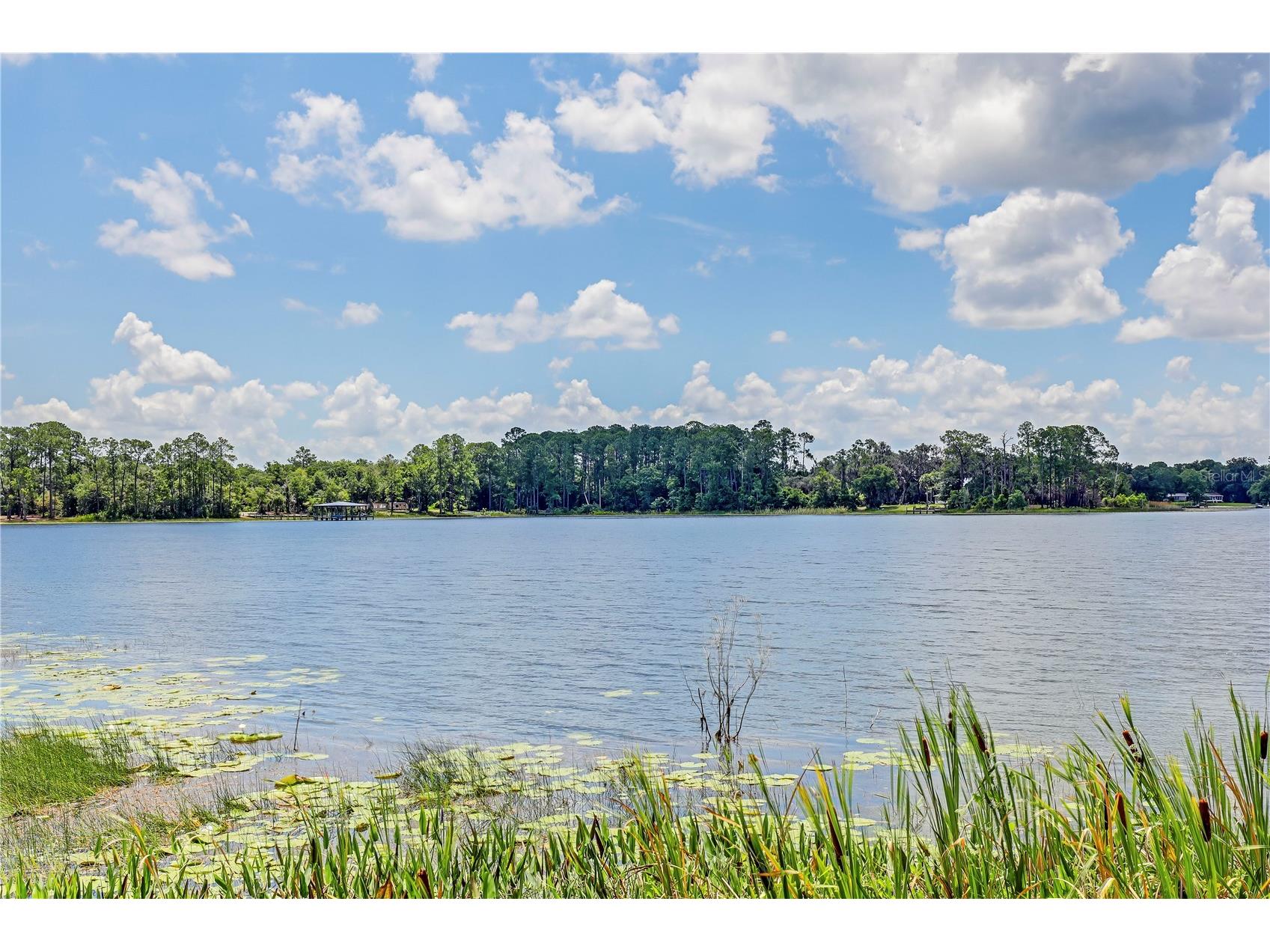 104 Carter Whittaker Lane Pomona Park FL 32181 FC310665 image5