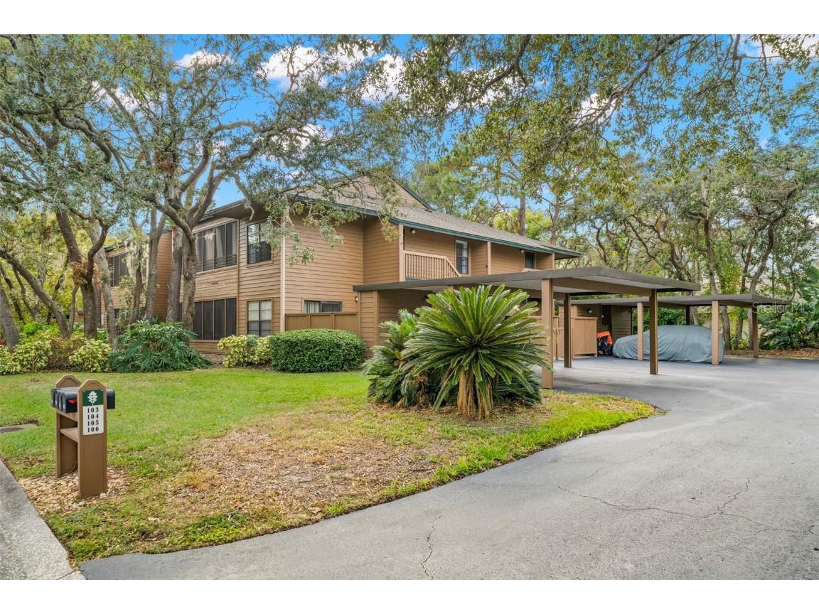 104 Cypress Pond Road Palm Harbor FL 34683 TB8316167 image1