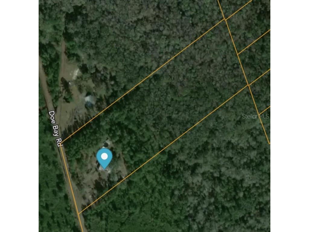 104 Doe Bay Lane #1 San Mateo FL 32187 V4930436 image1