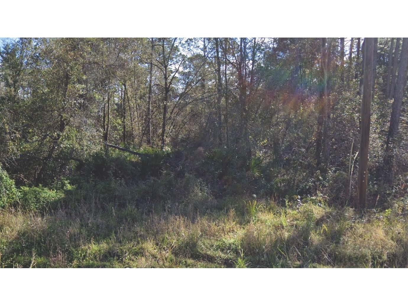 104 Donald R Boulevard Palatka FL 32177 OM715772 image1