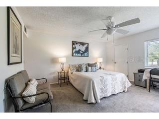 104 E Cypress Court #104 Oldsmar FL 34677 TB8480878 image17