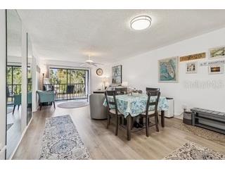 104 E Cypress Court #104 Oldsmar FL 34677 TB8480878 image2