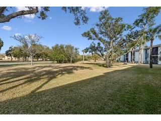 104 E Cypress Court #104 Oldsmar FL 34677 TB8480878 image23