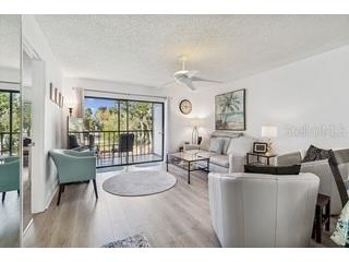 104 E Cypress Court #104 Oldsmar FL 34677 TB8480878 image3