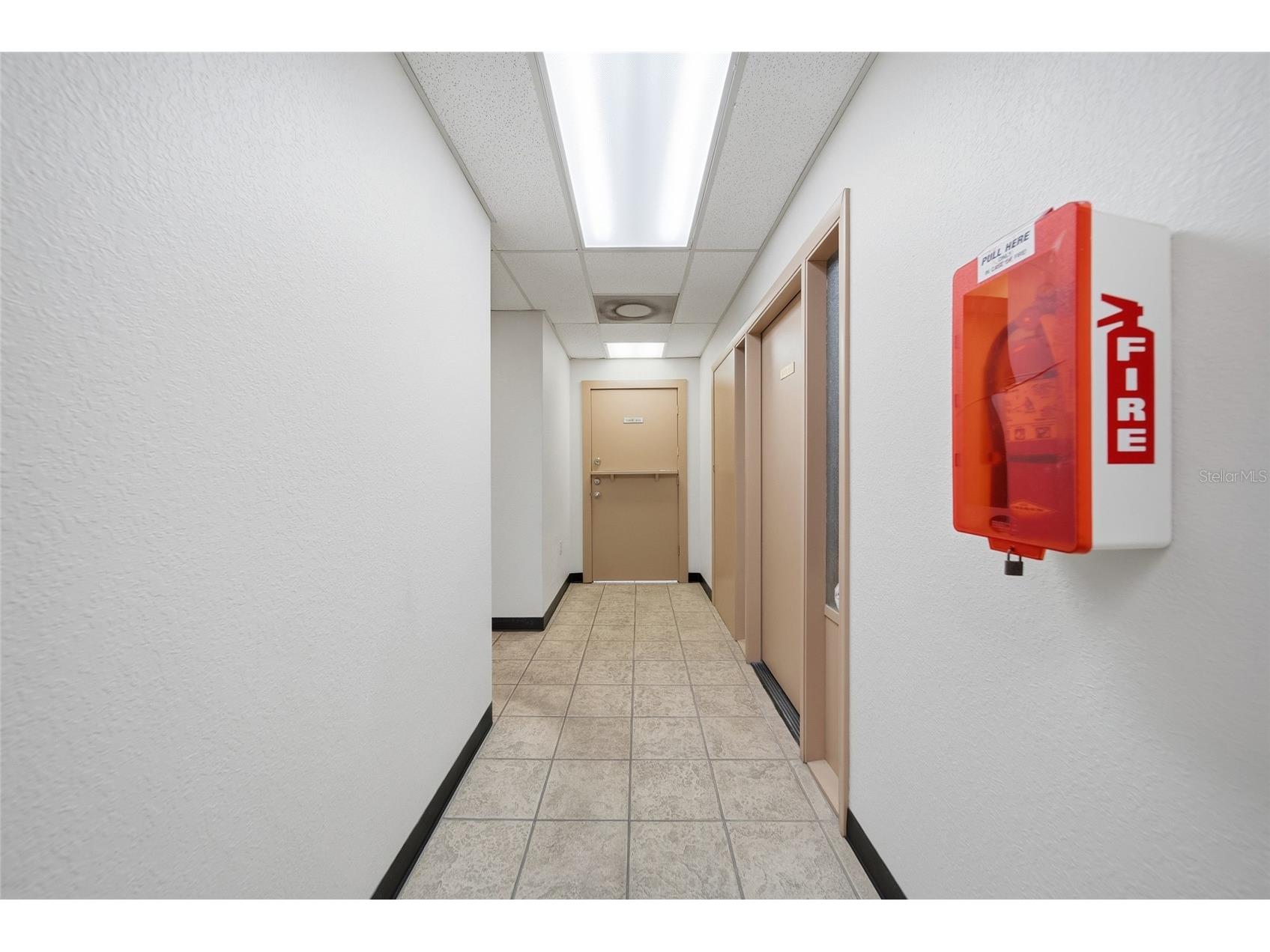 104 E Fowler Avenue Tampa FL 33612 W7884657 image13