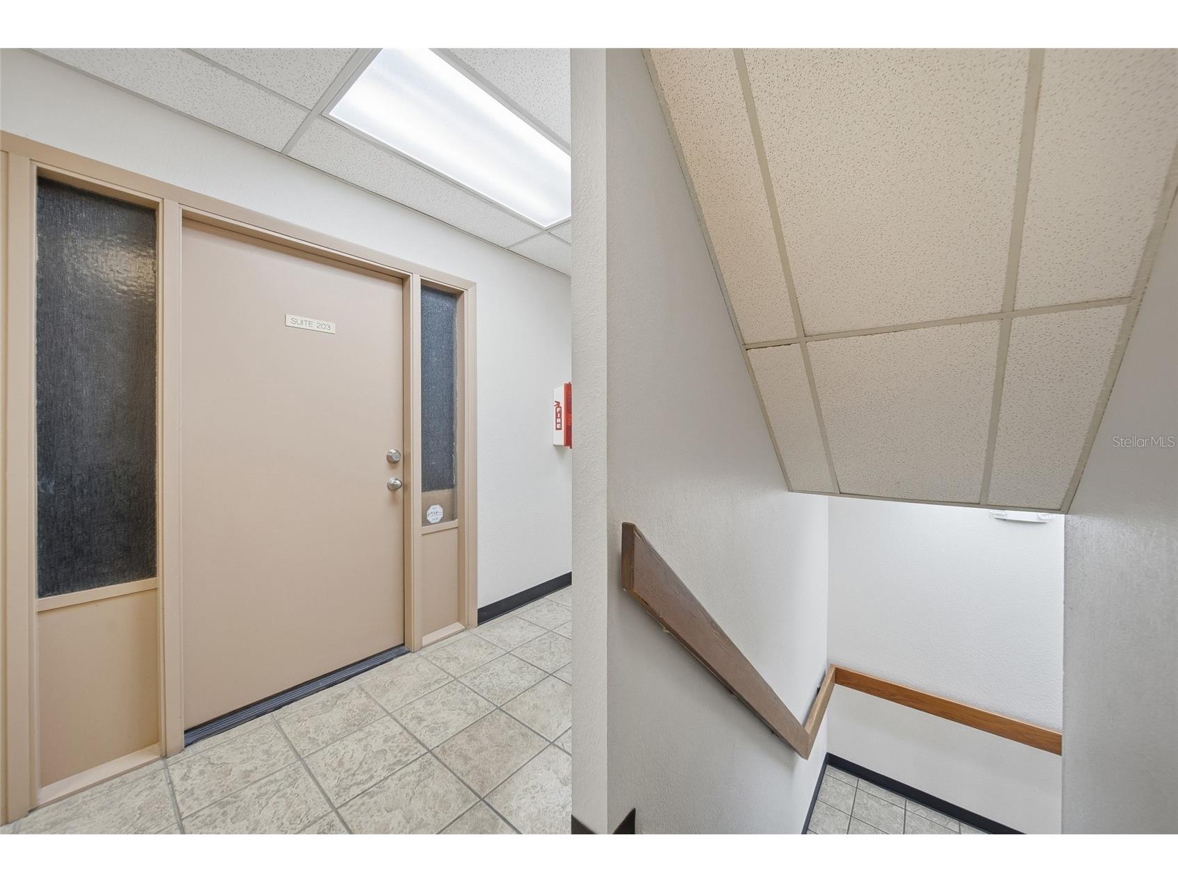 104 E Fowler Avenue Tampa FL 33612 W7884657 image14