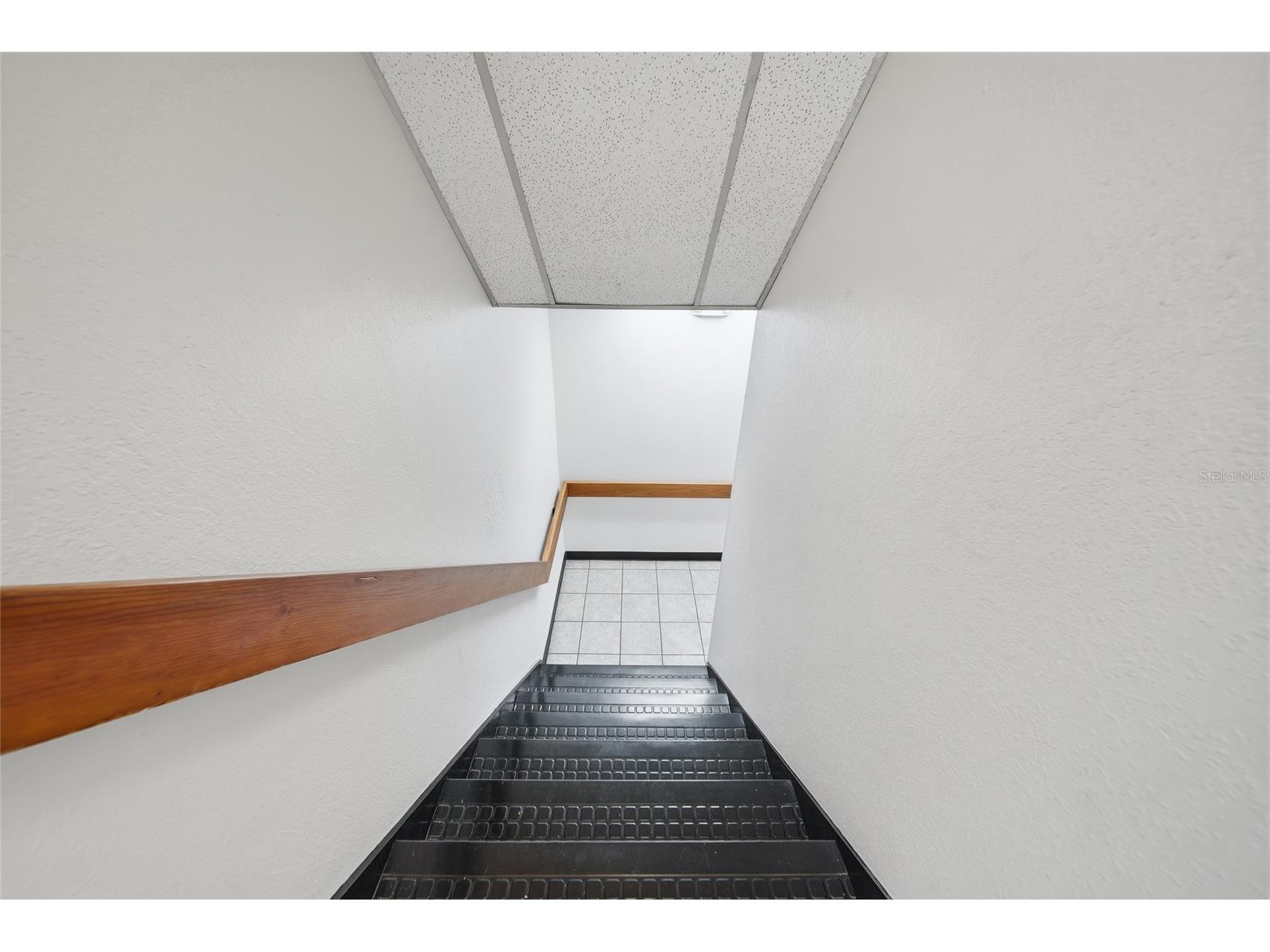 104 E Fowler Avenue Tampa FL 33612 W7884657 image15