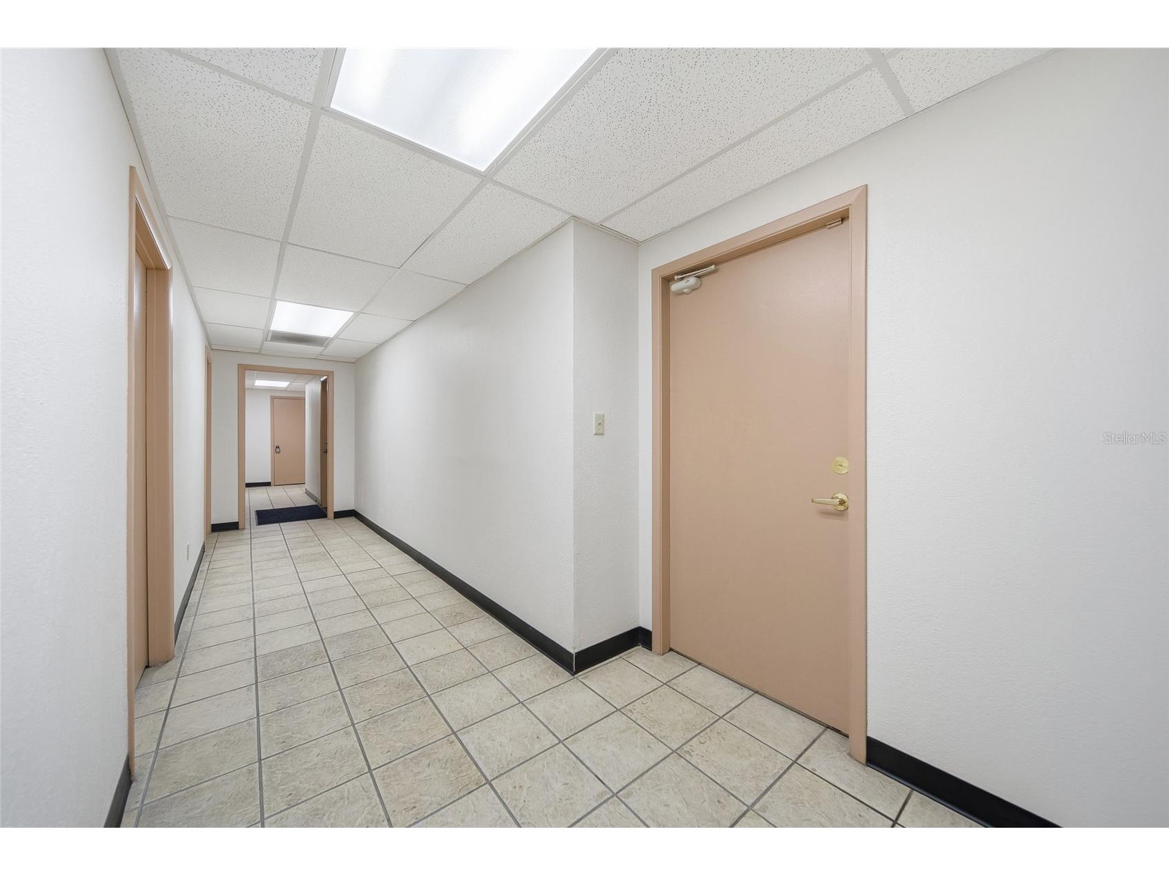 104 E Fowler Avenue Tampa FL 33612 W7884657 image8
