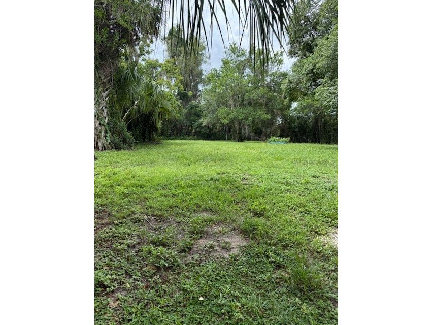 104 E Rosehill Ave Deland FL 32724 G5101916 image3