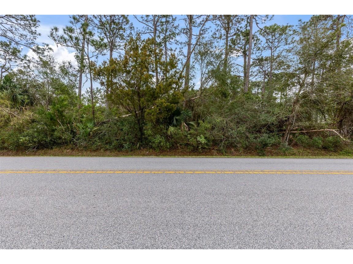 104 Farmsworth Drive Palm Coast FL 32137 V4941165 image1