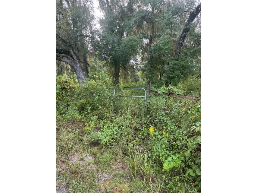 104 Floradandy Road Hawthorne FL 32640 GC540590 image4