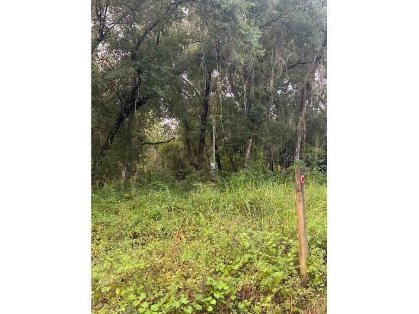 104 Floradandy Road Hawthorne FL 32640 GC540590 image5