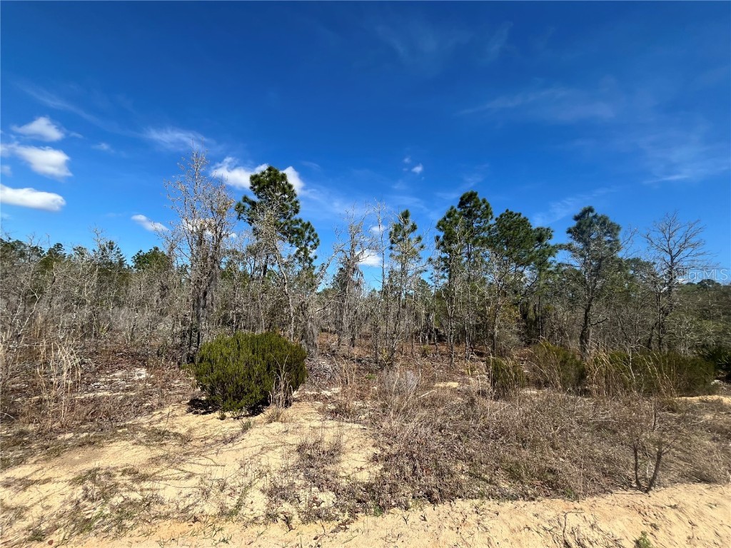 104 Himalayan Street Interlachen FL 32148 OK223799 image1