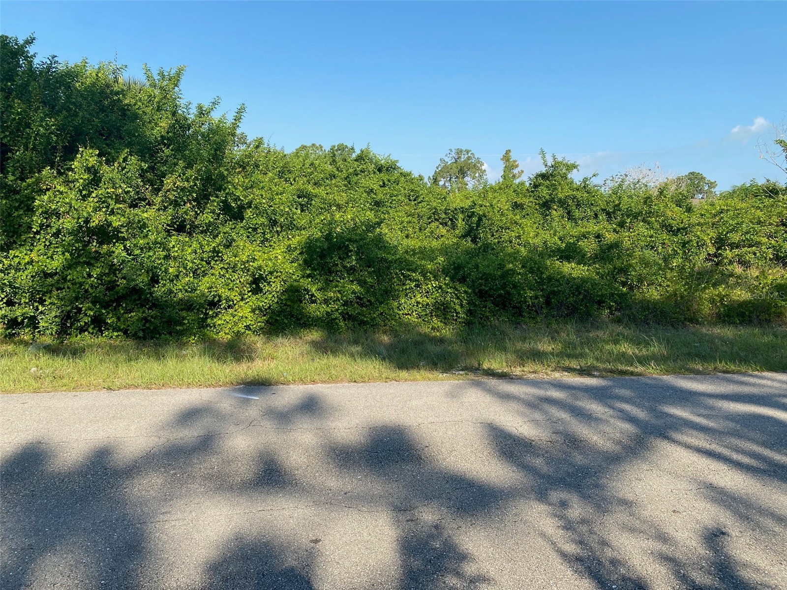 104 Homer Avenue S Lehigh Acres FL 33973 OM725472 image7