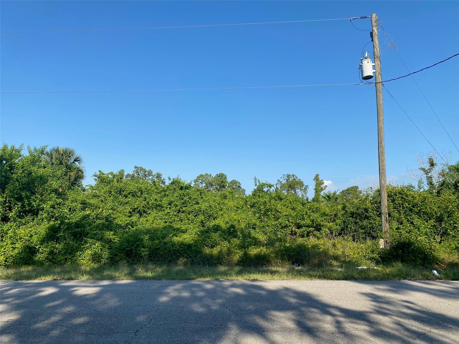 104 Homer Avenue S Lehigh Acres FL 33973 OM725472 image8