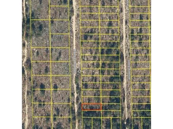 104 Kansas Avenue Hawthorne FL 32640 O6277743 image1