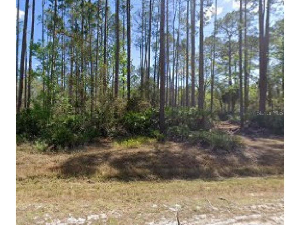 104 Lakeshore Drive Georgetown FL 32139 O6129696 image1