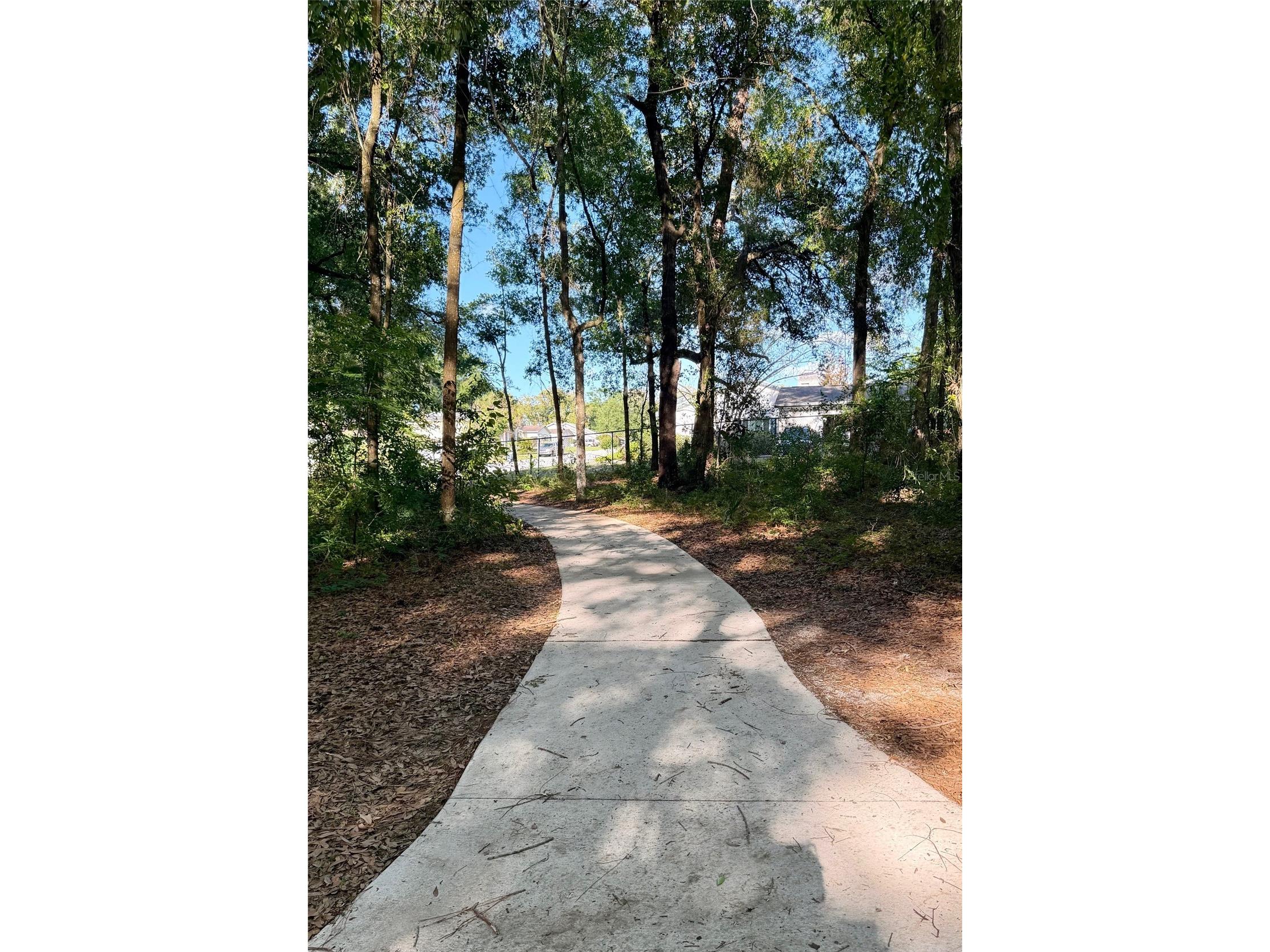 104 Lamplighter Road Altamonte Springs FL 32714 O6398598 image17