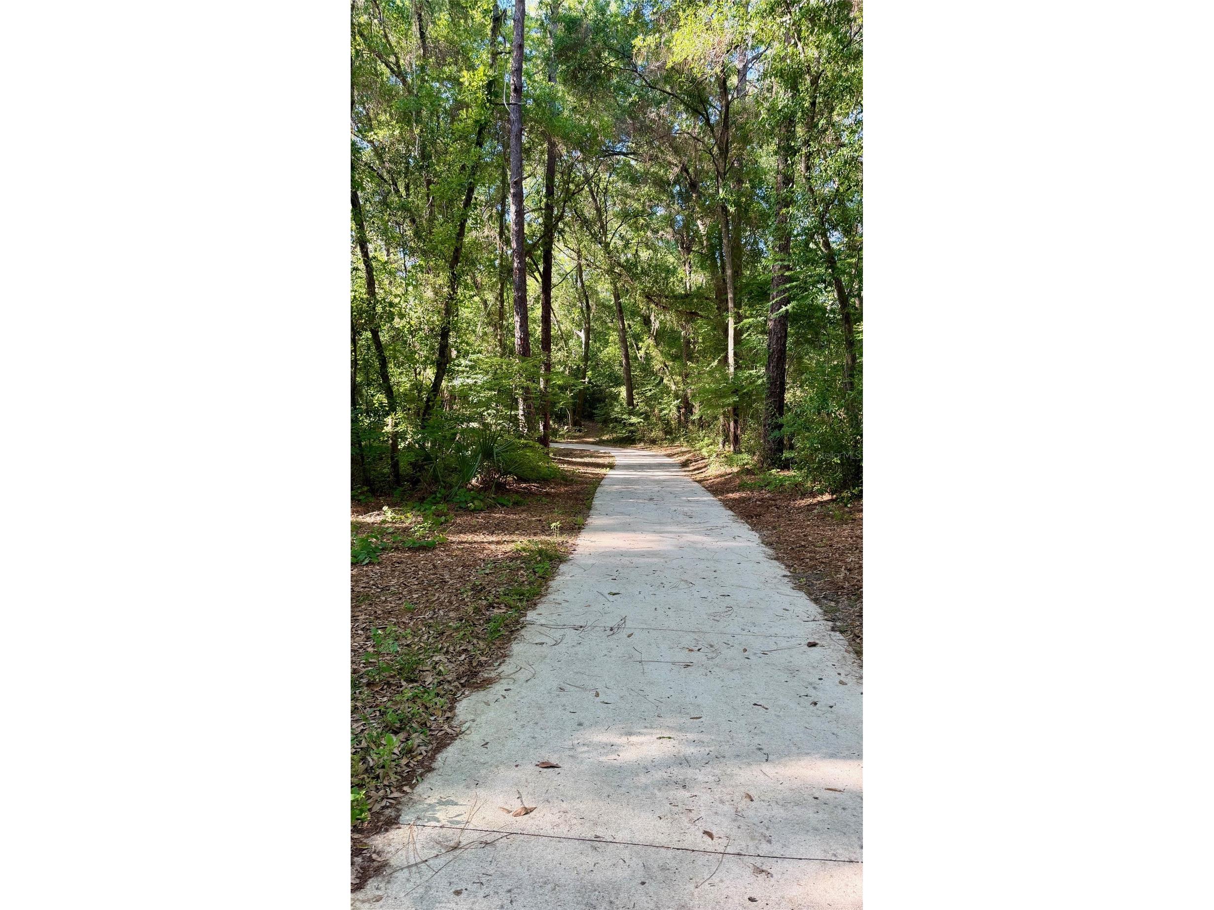 104 Lamplighter Road Altamonte Springs FL 32714 O6398598 image18
