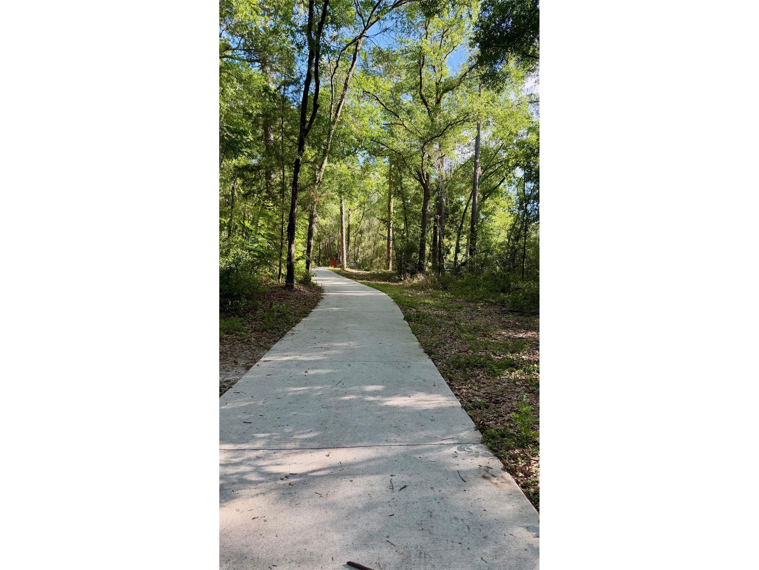 104 Lamplighter Road Altamonte Springs FL 32714 O6398598 image19