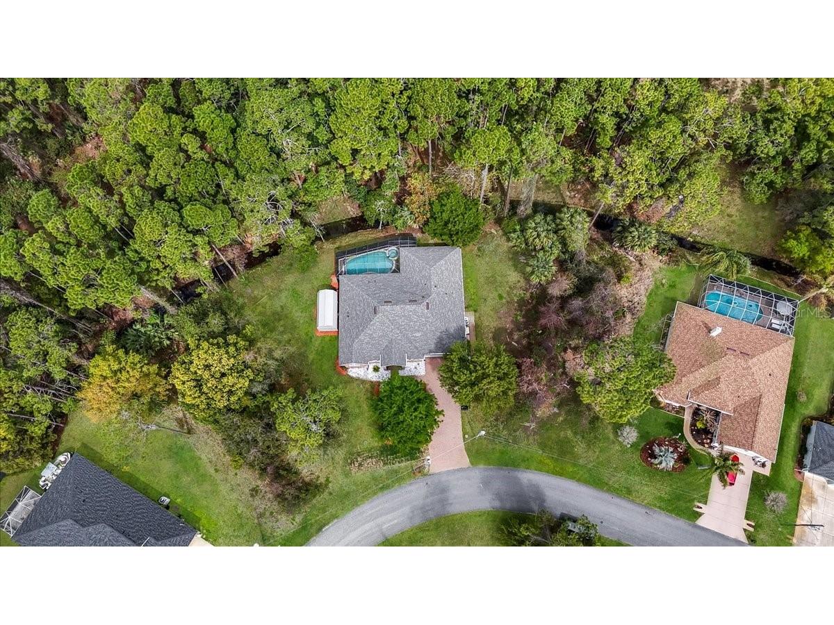 104 Lindsay Drive Palm Coast FL 32137 FC317084 image46