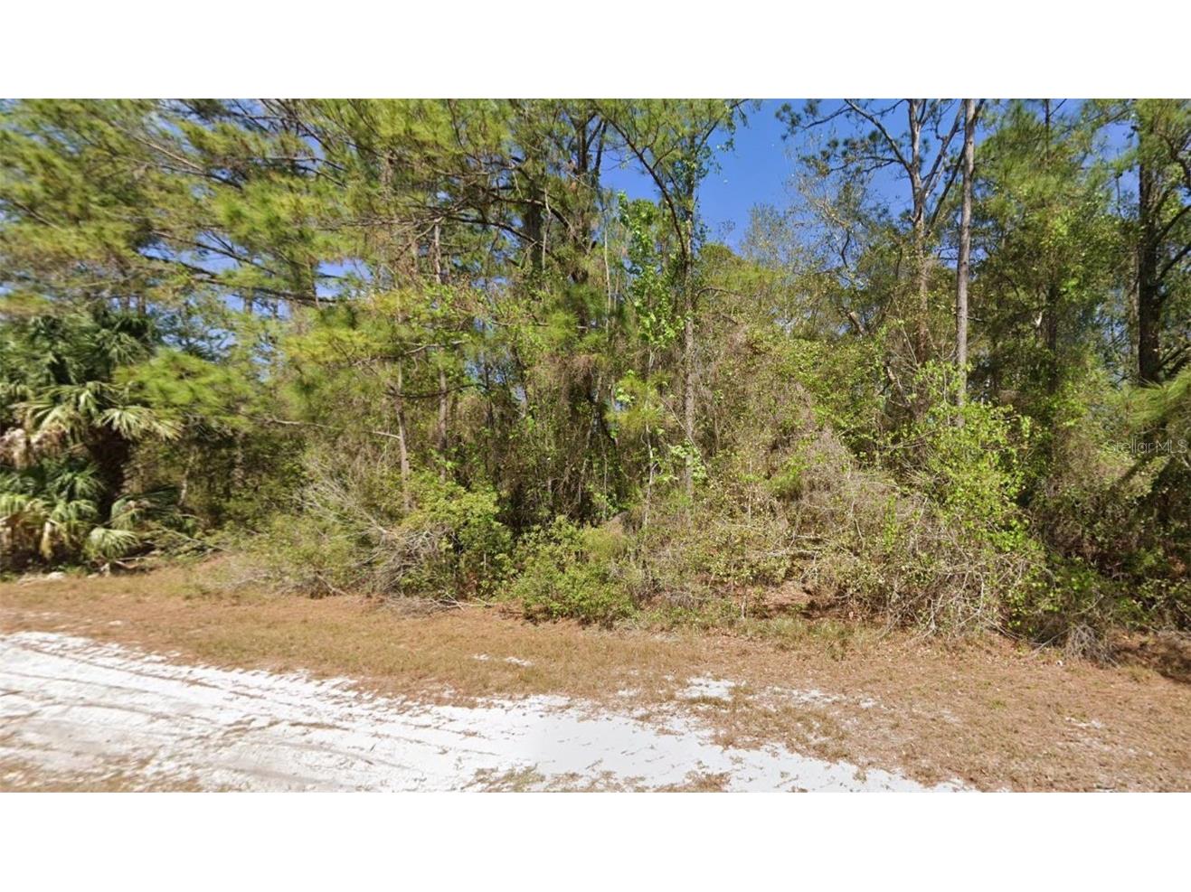 104 May Avenue Georgetown FL 32139 - Lake George V4931948 image1