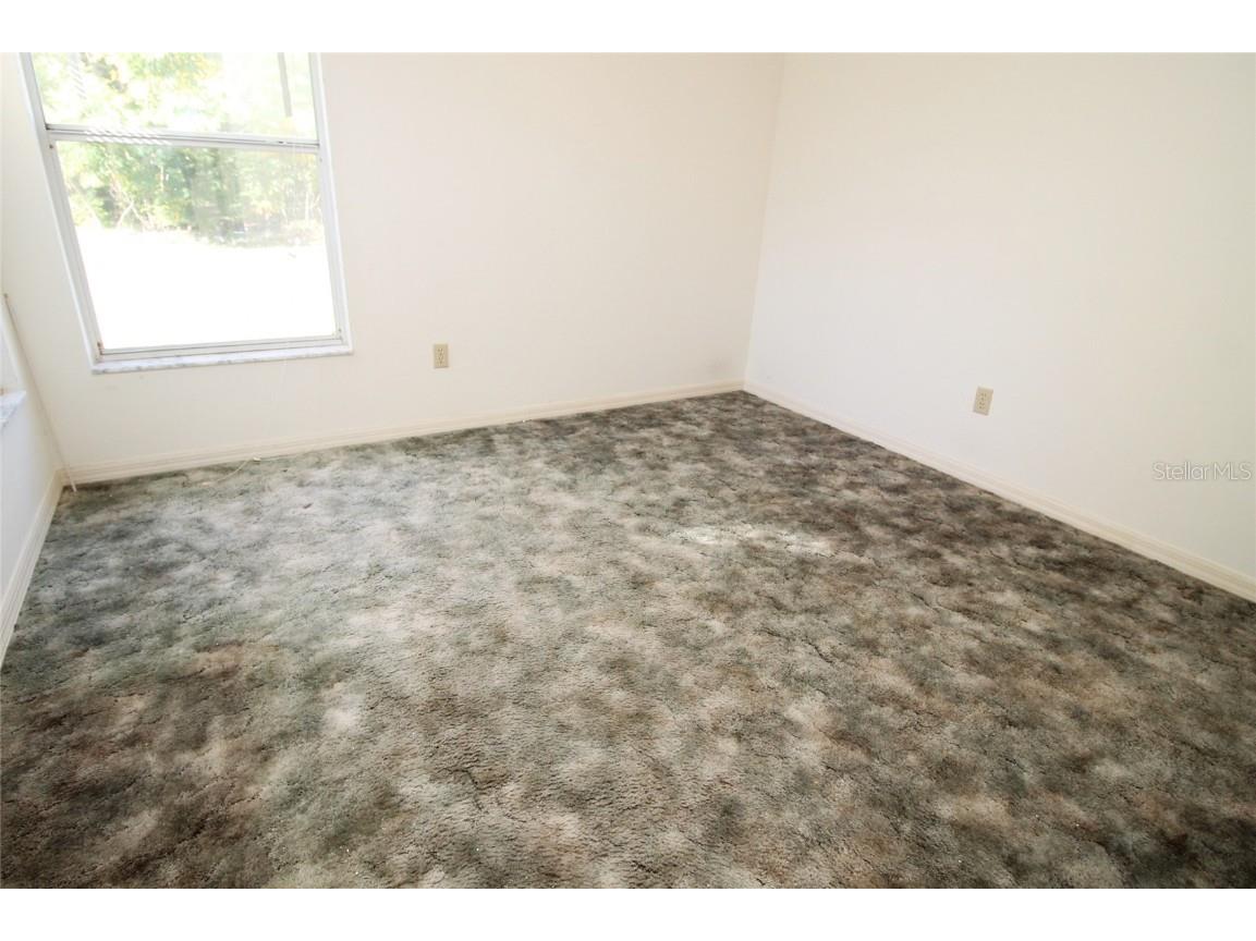 104 N Main Avenue Minneola FL 34715 G5104925 image6