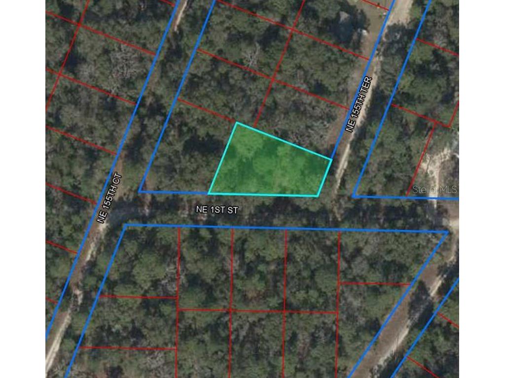 104 NE 155th Terrace Williston FL 32696 OM654545 image1