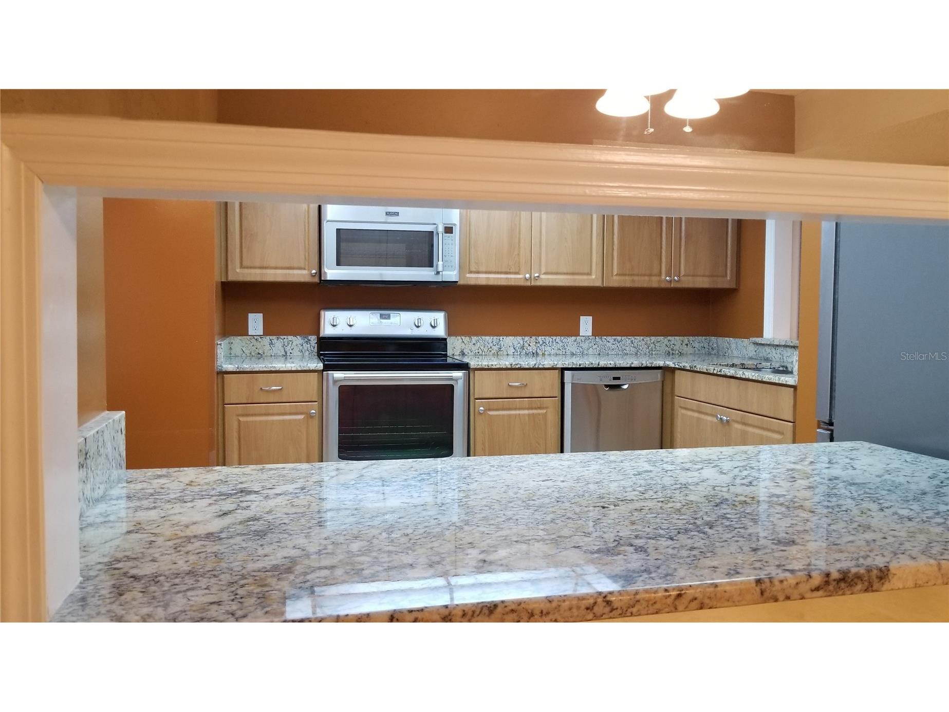104 Old Mill Pond Road Palm Harbor FL 34683 W7884011 image13