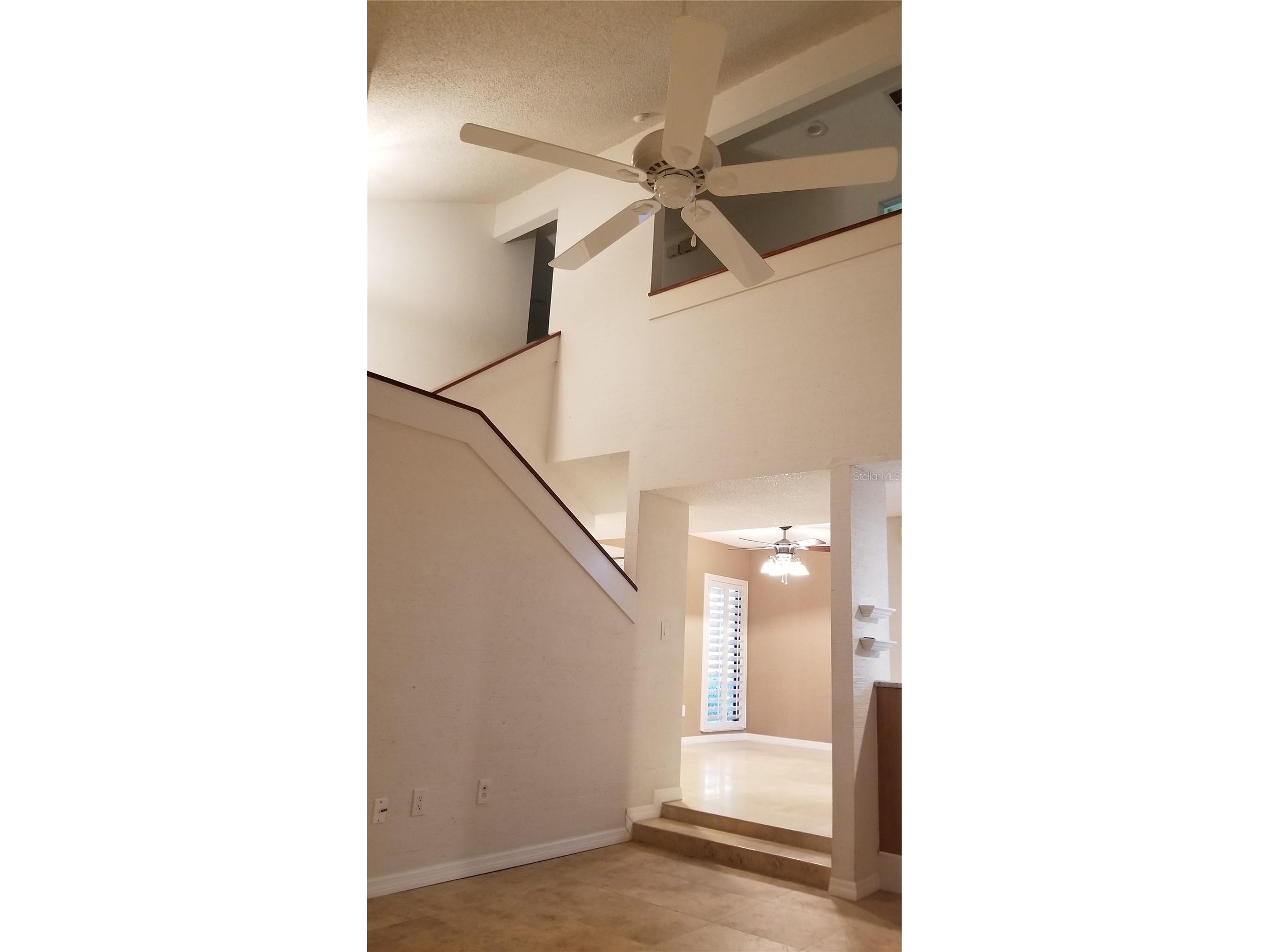 104 Old Mill Pond Road Palm Harbor FL 34683 W7884011 image17