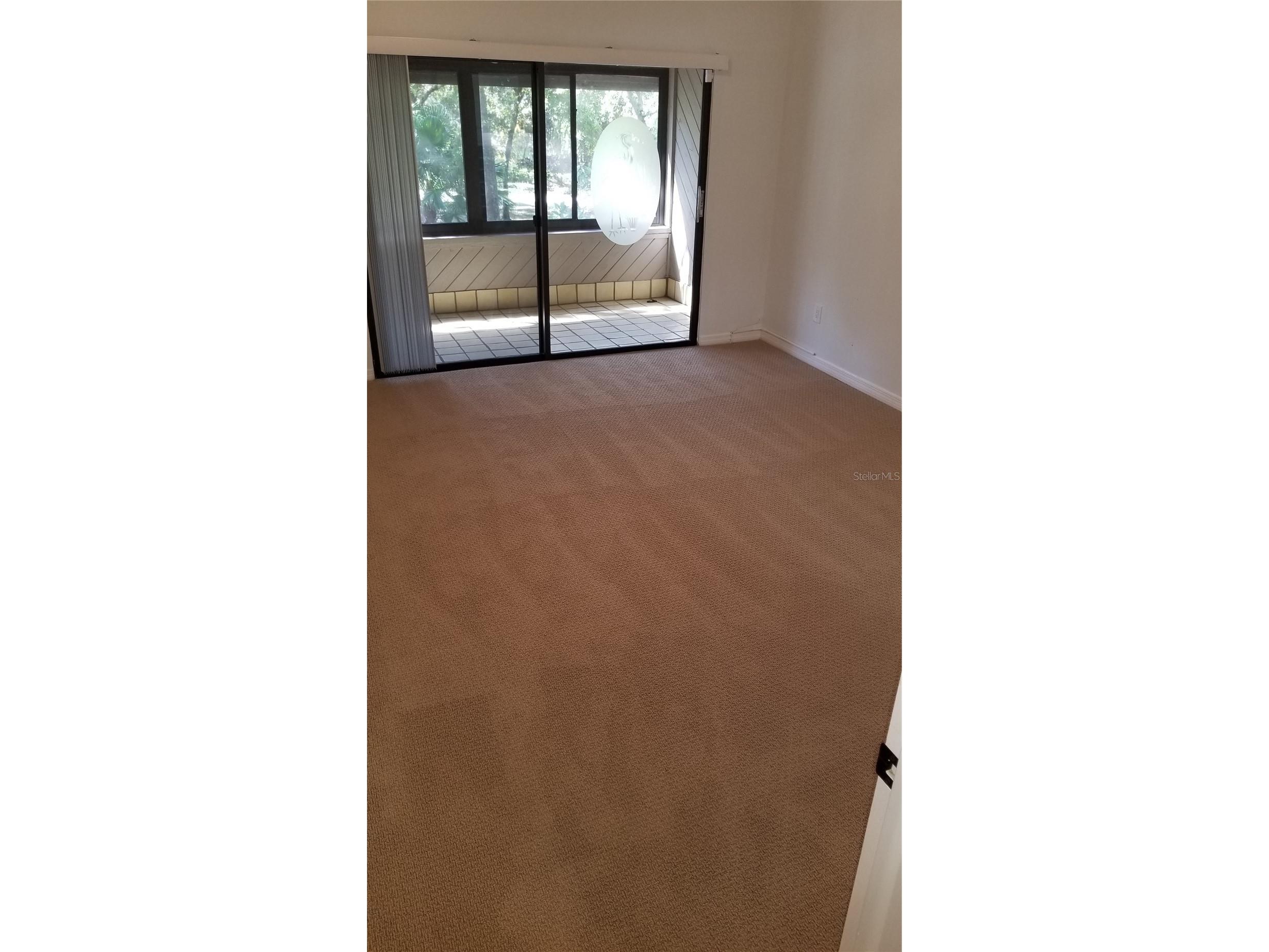 104 Old Mill Pond Road Palm Harbor FL 34683 W7884011 image19