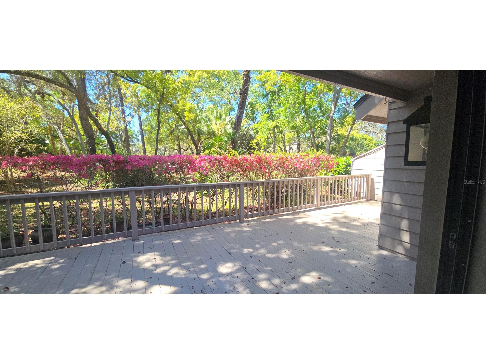 104 Old Mill Pond Road Palm Harbor FL 34683 W7884011 image22